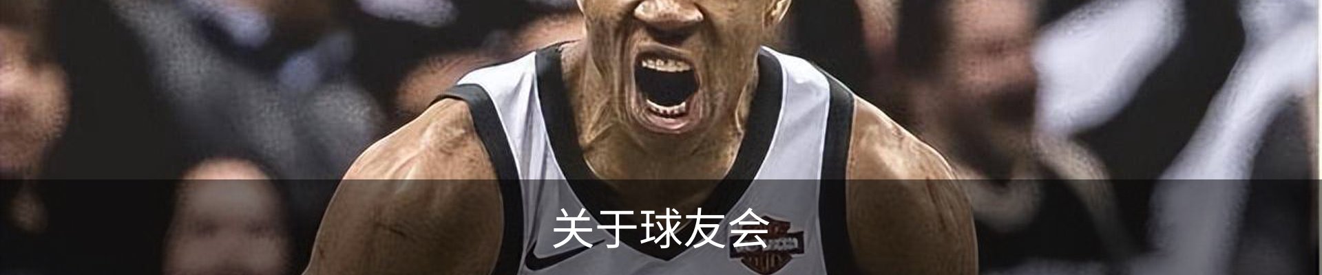 关于球友会